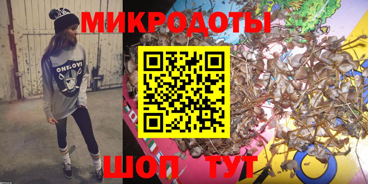 Псилоцибиновые грибы прущие грибы Шатура